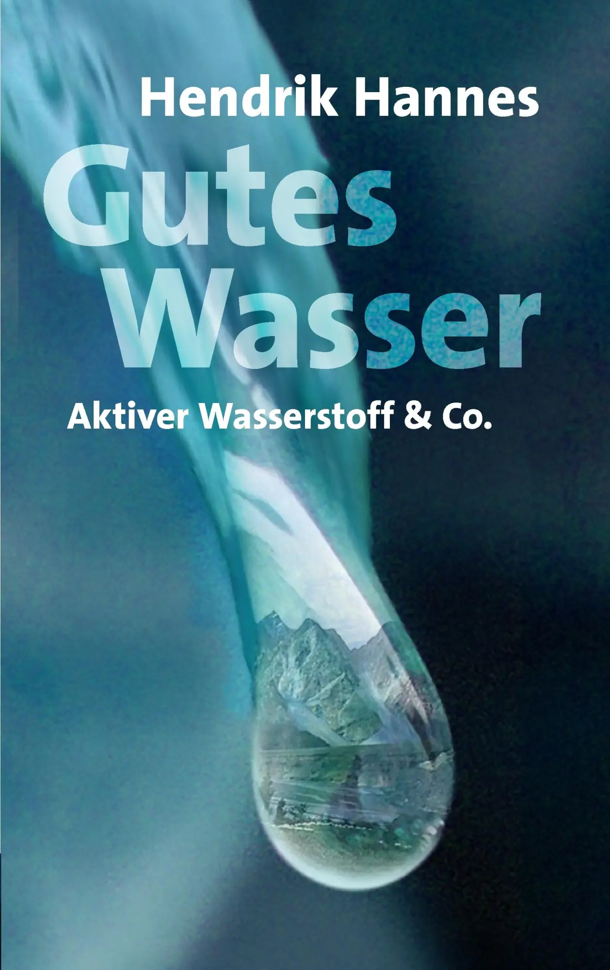 Cover: 9783837023480 | Gutes Wasser - Aktiver Wasserstoff &amp; Co | Hendrik Hannes | Taschenbuch