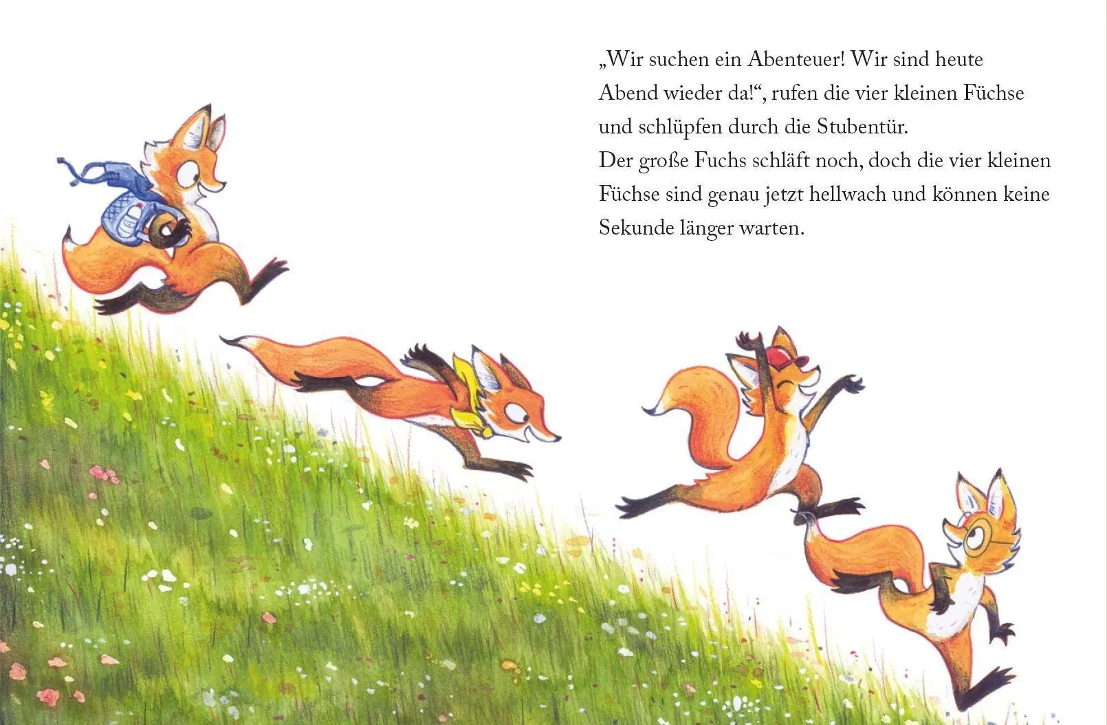 Bild: 9783948453480 | Flitzefüchse | Kai Oppermann | Buch | 32 S. | Deutsch | 2026