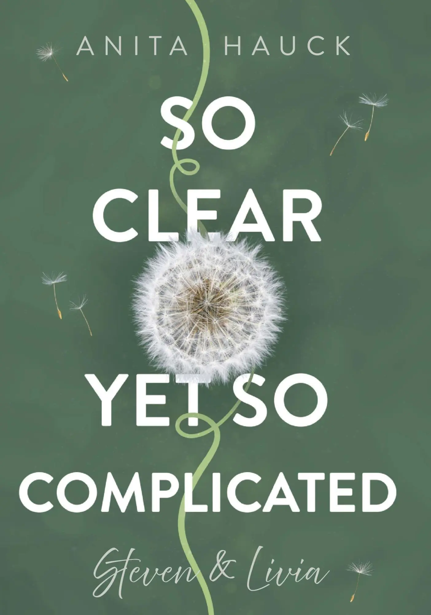 Cover: 9783991923480 | So clear yet so complicated | Steven &amp; Livia | Anita Hauck | Buch