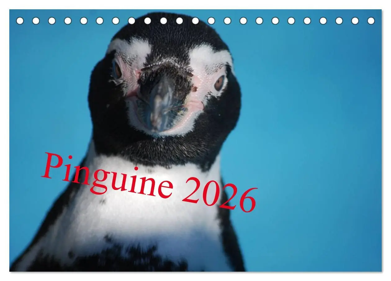 Cover: 9783516183580 | Pinguine 2026 (Tischkalender 2026 DIN A5 quer), CALVENDO...