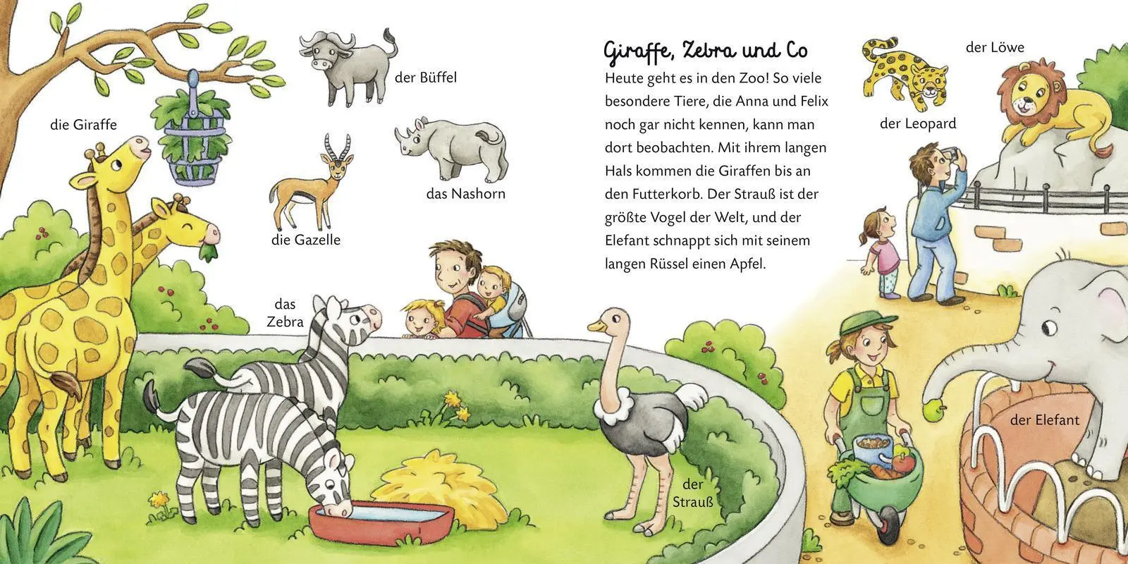 Bild: 9783737333580 | Duden 18+: Mein erster Wortschatz Bei den Tieren | Elke Broska | Buch