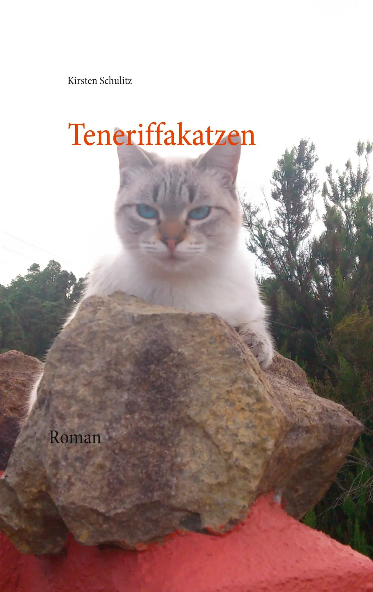 Cover: 9783754303580 | Teneriffakatzen | Kirsten Schulitz | Taschenbuch | 188 S. | Deutsch