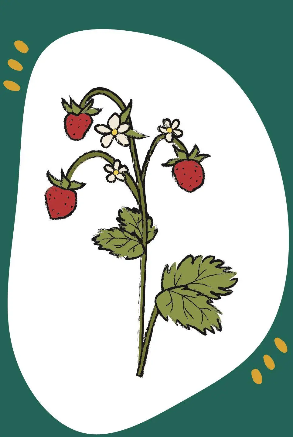 Bild: 9783960463580 | Wortschatzkärtchen: Im Wald | Esther Zulauf | Taschenbuch | 32 S.