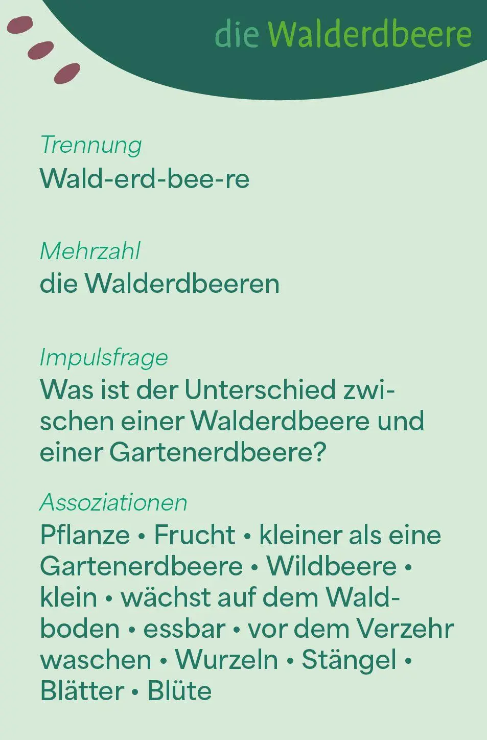 Bild: 9783960463580 | Wortschatzkärtchen: Im Wald | Esther Zulauf | Taschenbuch | 32 S.