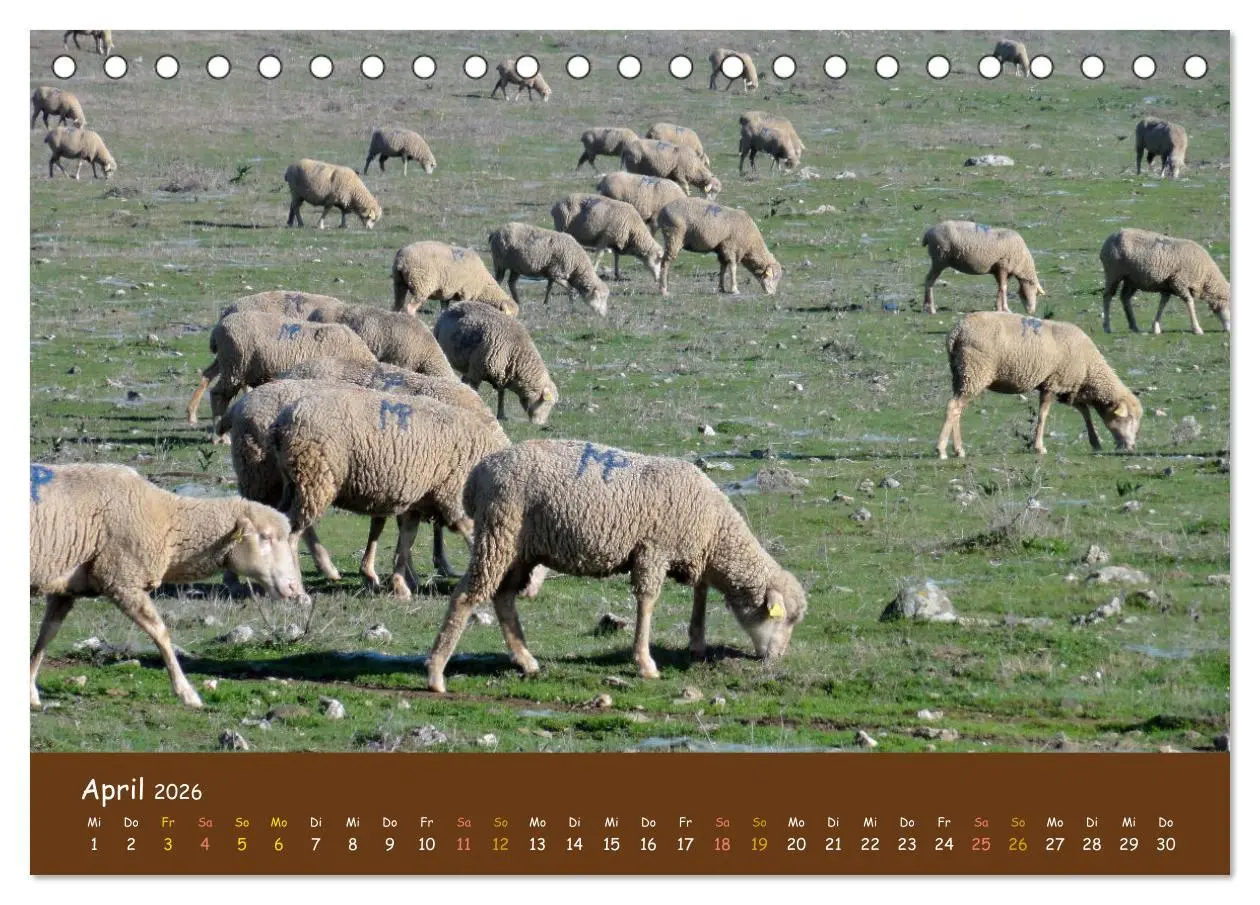 Bild: 9783457603680 | Extremadura Spanien (Tischkalender 2026 DIN A5 quer), CALVENDO...