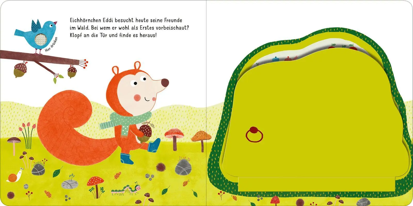 Bild: 9783845853680 | Klopf, klopf! Im Wald | Valeria Valenza | Buch | 12 S. | Deutsch