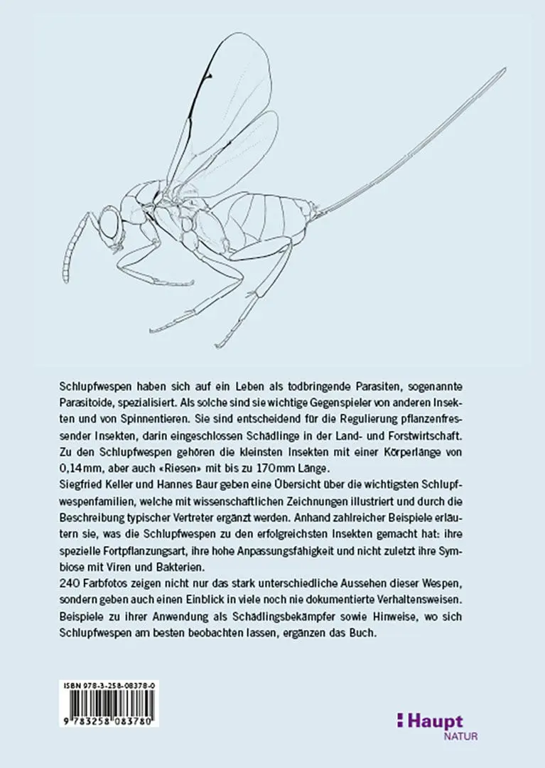 Rückseite: 9783258083780 | Schlupfwespen | Ihre geheimnisvolle Welt beobachten und verstehen