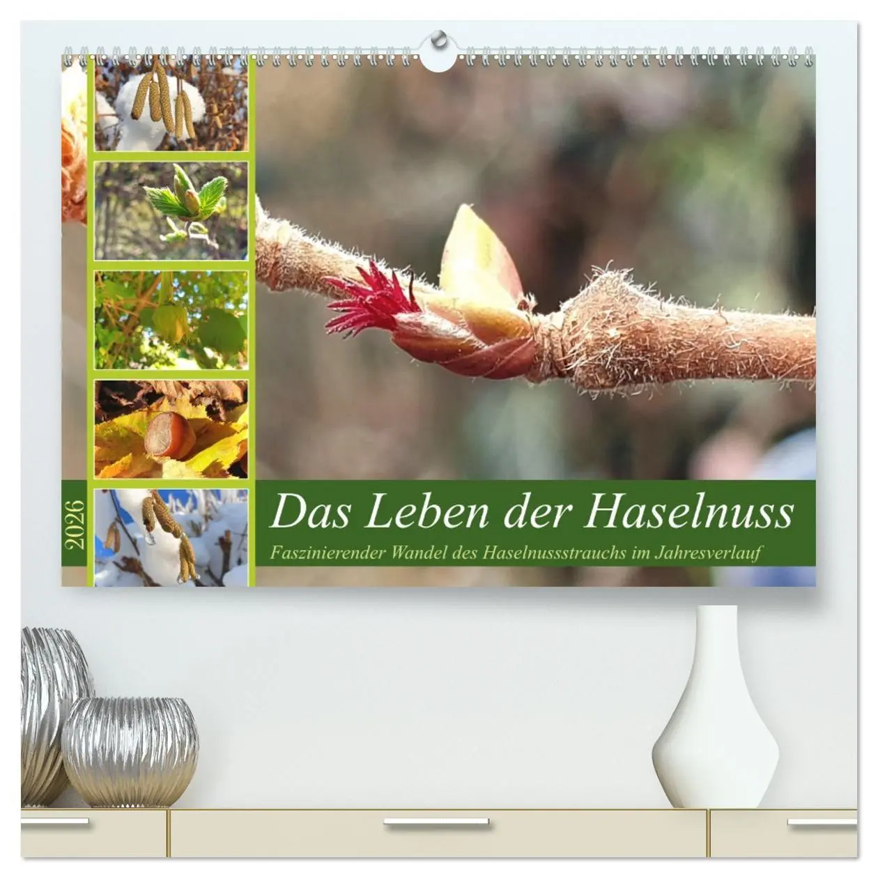 Cover: 9783457383780 | Das Leben der Haselnuss (hochwertiger Premium Wandkalender 2026 DIN...