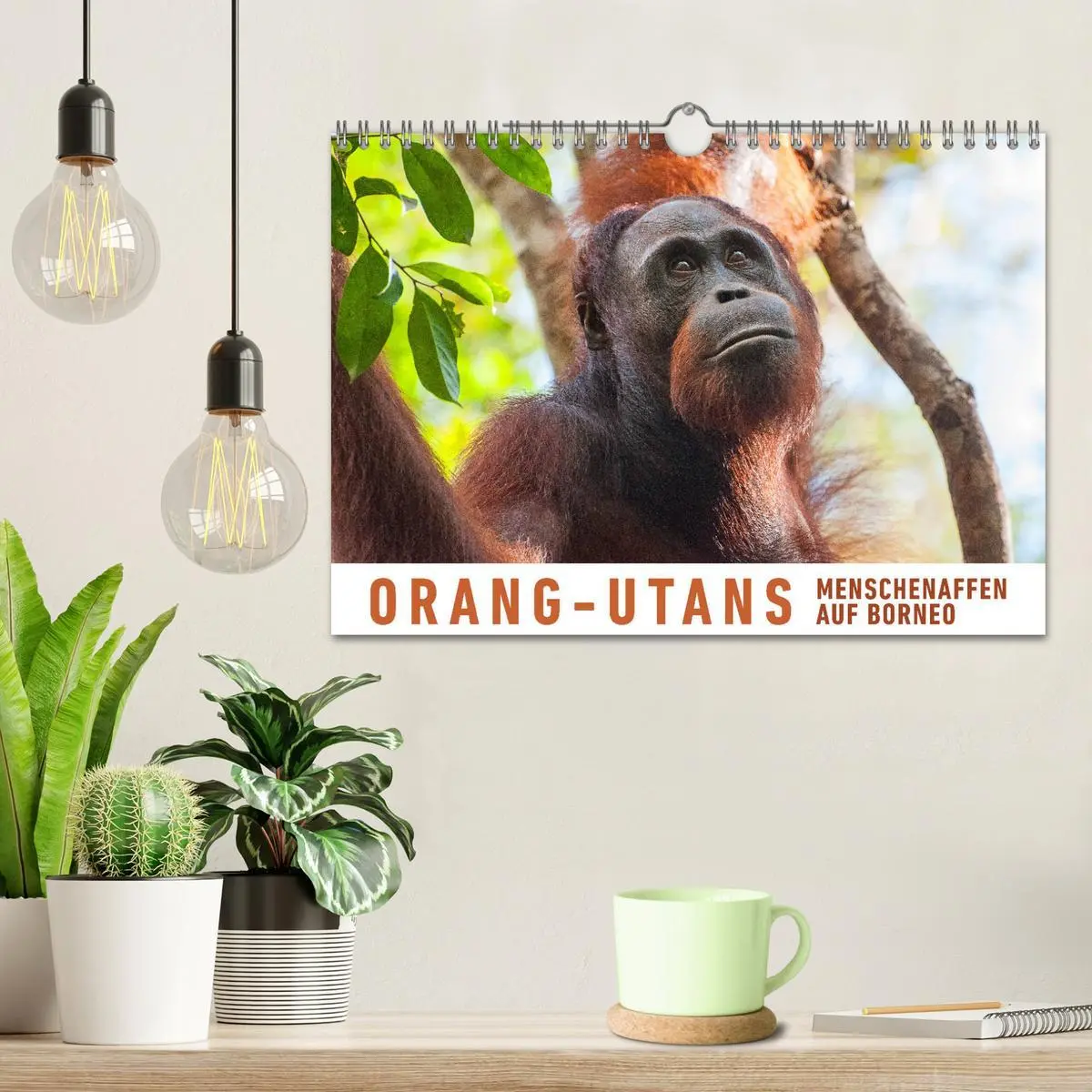Bild: 9783457833780 | Orang-Utans Menschenaffen auf Borneo (Wandkalender 2026 DIN A4...
