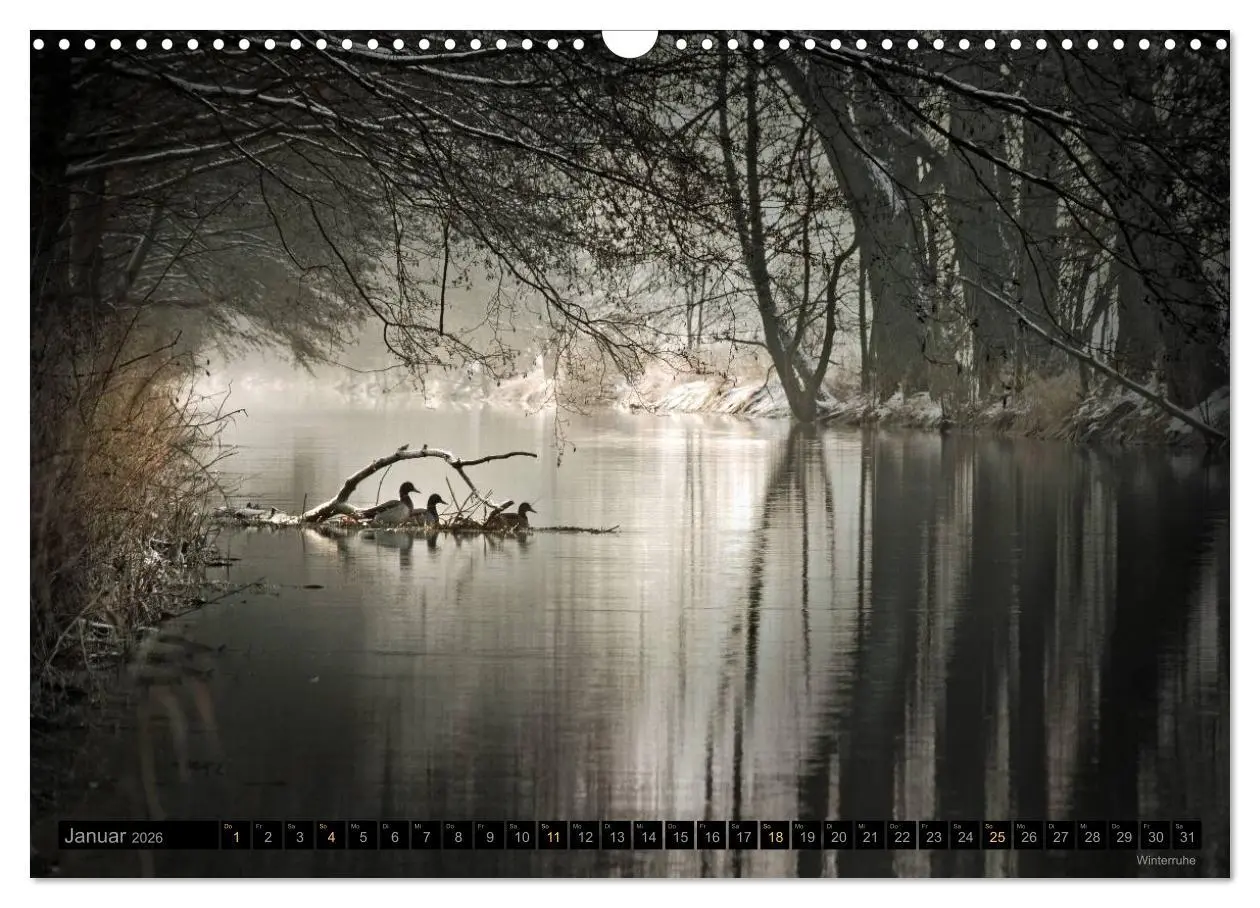 Bild: 9783516093780 | Traumlandschaften 2026 (Wandkalender 2026 DIN A3 quer), CALVENDO...