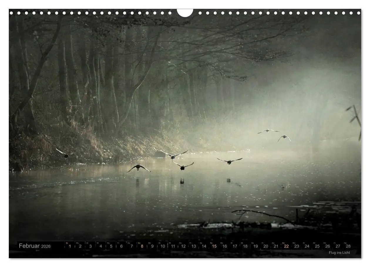Bild: 9783516093780 | Traumlandschaften 2026 (Wandkalender 2026 DIN A3 quer), CALVENDO...