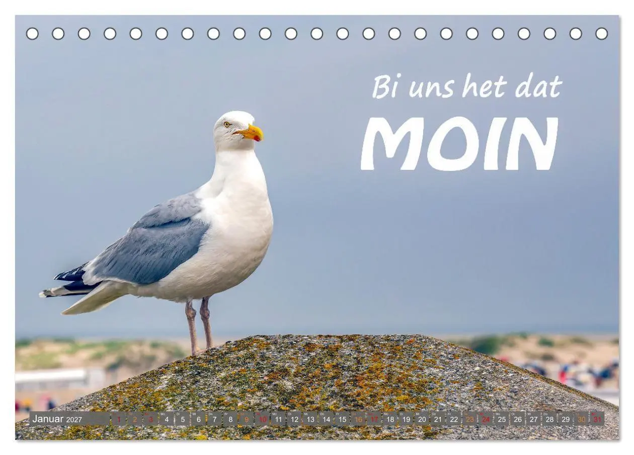 Bild: 9783569323780 | De Sprökje Kalenner "We proten platt" (Tischkalender 2027 DIN A5...