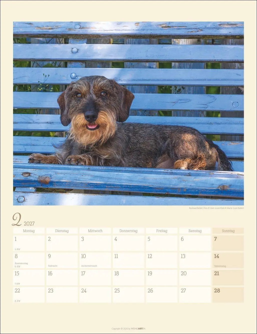 Bild: 9783839903780 | Dackel Kalender 2027 | Kalender | Tierkalender Weingarten | 14 S.