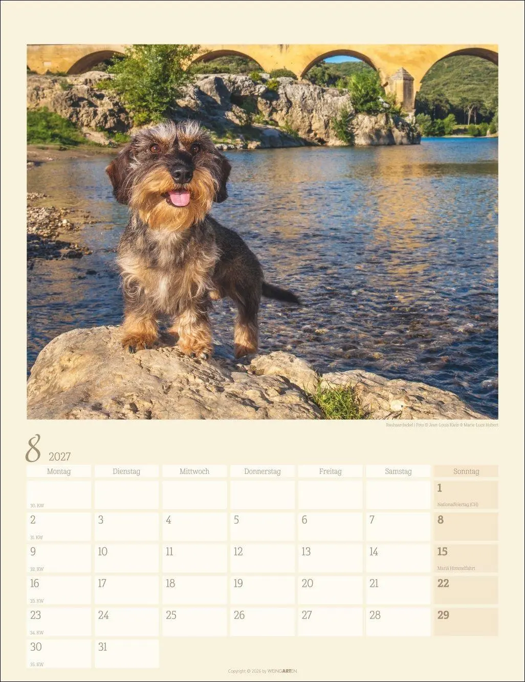 Bild: 9783839903780 | Dackel Kalender 2027 | Kalender | Tierkalender Weingarten | 14 S.