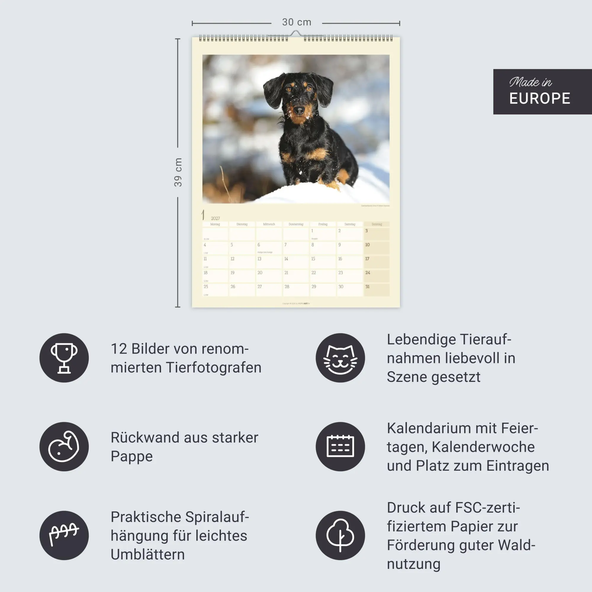 Bild: 9783839903780 | Dackel Kalender 2027 | Kalender | Tierkalender Weingarten | 14 S.