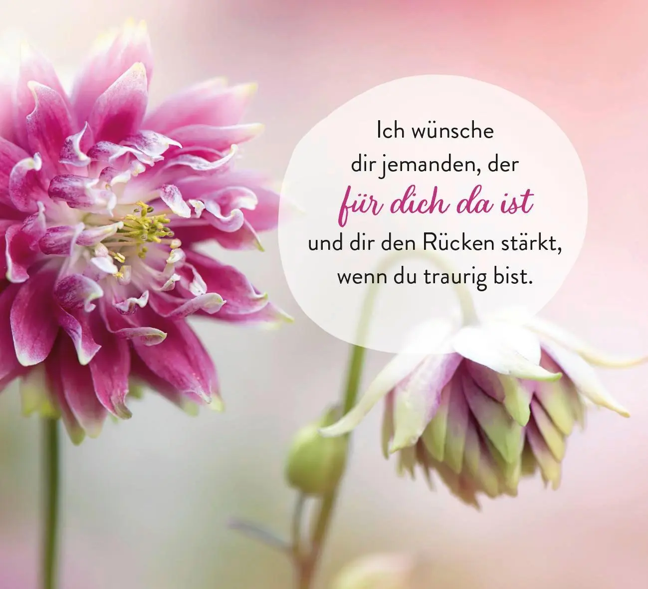 Bild: 9783848503780 | Was ich dir wünsche für jeden Tag | Groh Verlag | Taschenbuch | 52 S.