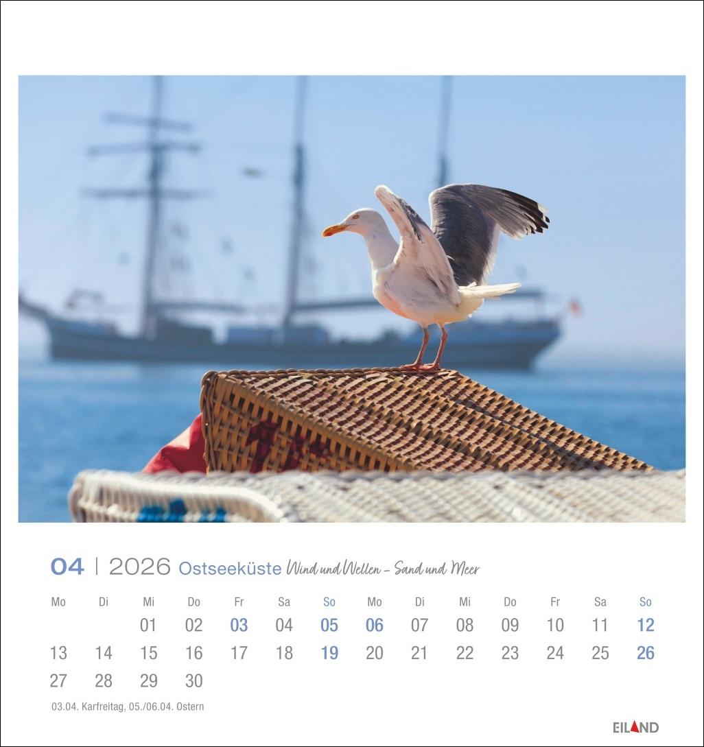 Bild: 9783964023780 | Ostseeküste Postkartenkalender 2026 - Wind und Wellen - Sand und Meer