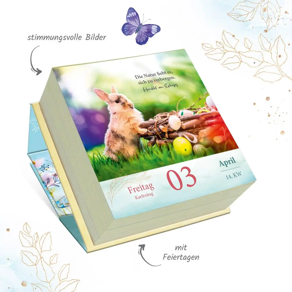Bild: 9783988023780 | Trötsch Geschenkkalender Abreißkalender Sonnige Tage 2026 | KG | DCXL
