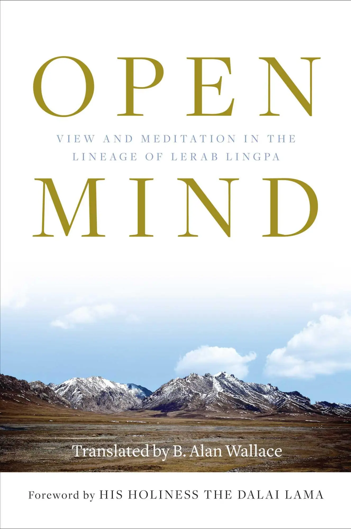 Cover: 9781614293880 | Open Mind | View and Meditation in the Lineage of Lerab Lingpa | Buch