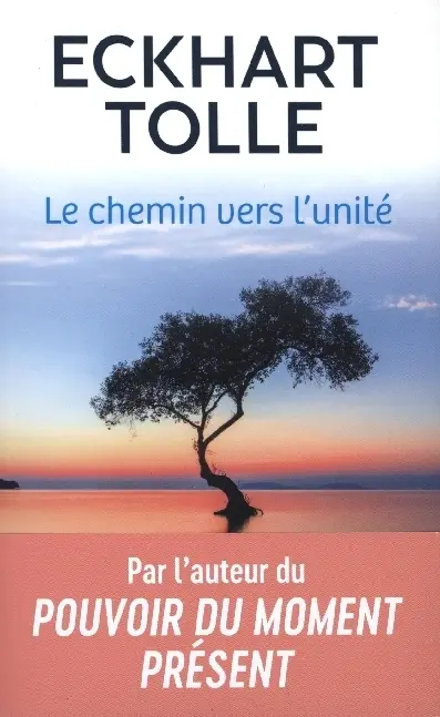 Cover: 9782290373880 | Le Chemin Vers l'Unite | Eckhart Tolle | Taschenbuch | Französisch