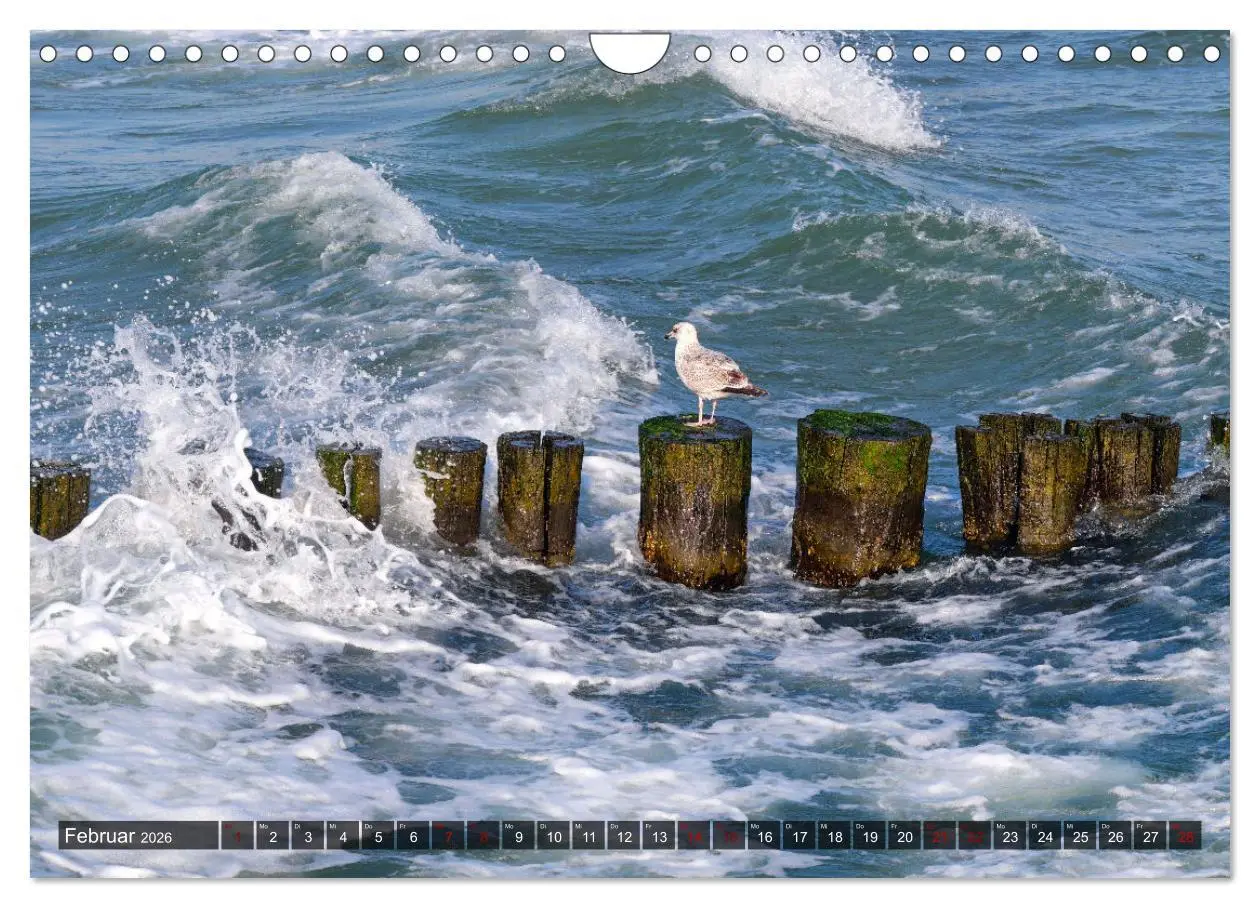 Bild: 9783457373880 | Graal-Müritz, Malerische Küstenmomente (Wandkalender 2026 DIN A4...