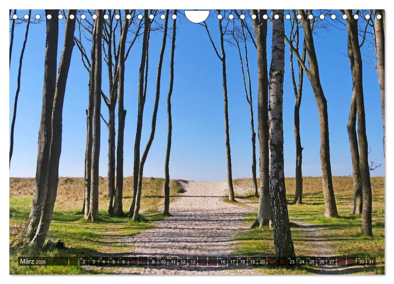 Bild: 9783457373880 | Graal-Müritz, Malerische Küstenmomente (Wandkalender 2026 DIN A4...