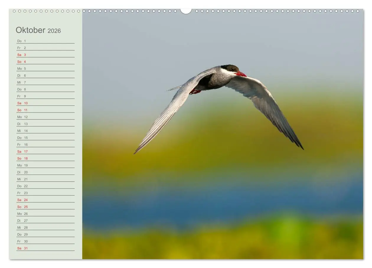 Bild: 9783457683880 | Donaudelta - Tierparadies am Schwarzen Meer (Wandkalender 2026 DIN...