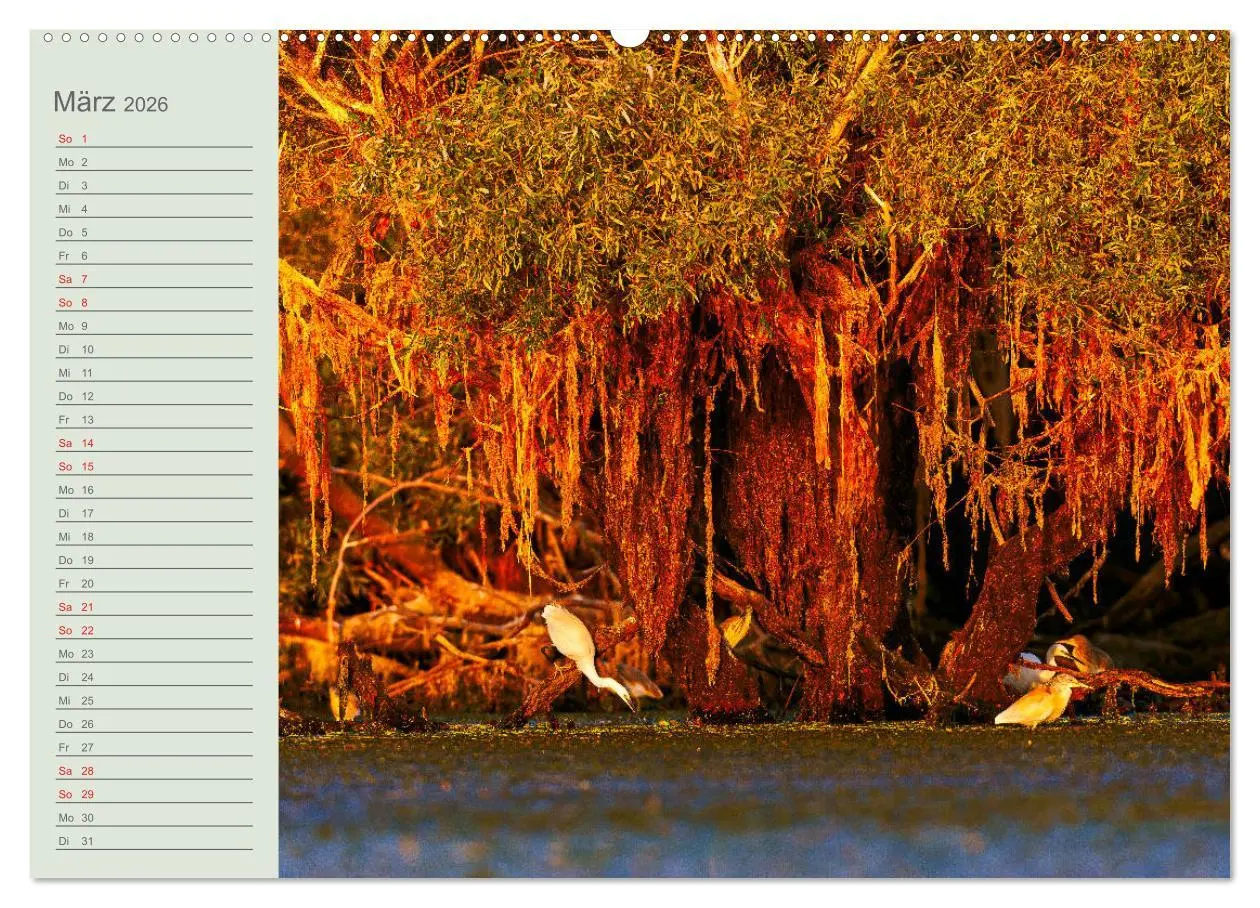 Bild: 9783457683880 | Donaudelta - Tierparadies am Schwarzen Meer (Wandkalender 2026 DIN...