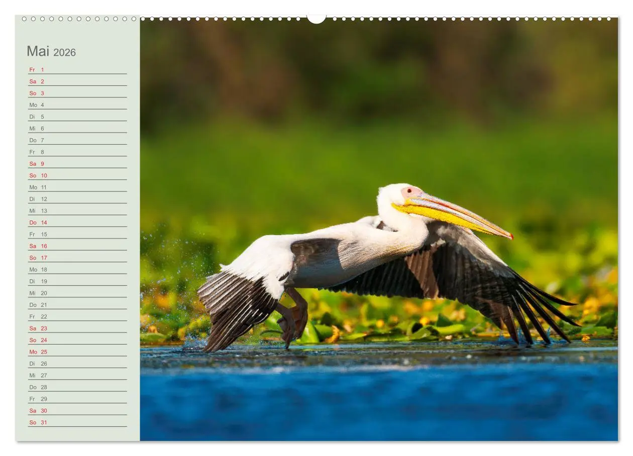 Bild: 9783457683880 | Donaudelta - Tierparadies am Schwarzen Meer (Wandkalender 2026 DIN...