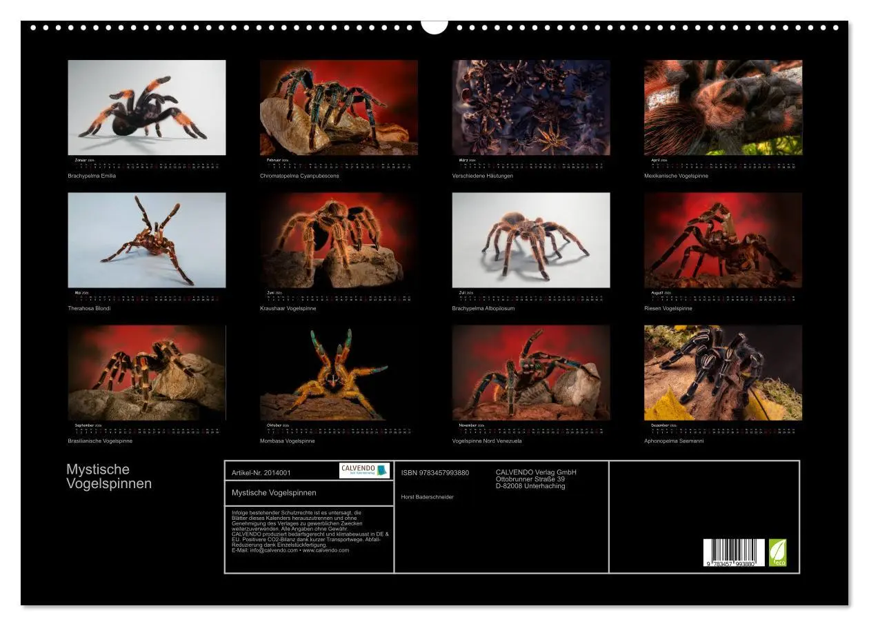 Bild: 9783457993880 | Mystische Vogelspinnen (Wandkalender 2026 DIN A2 quer), CALVENDO...