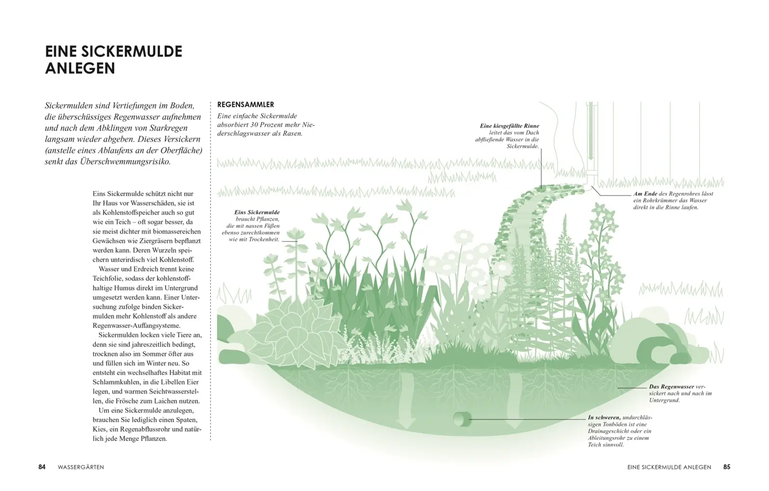 Bild: 9783831043880 | Klimafreundlich gärtnern | Sally Nex | Taschenbuch | 192 S. | Deutsch