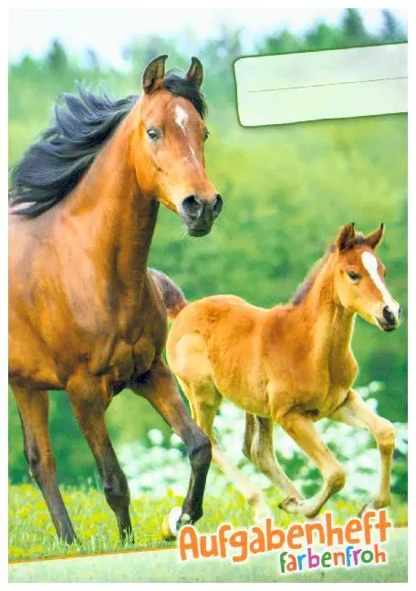Cover: 9783866793880 | Lernfreunde Aufgabenheft Farbenfroh Mini A6 1 Schuljahr Motiv...