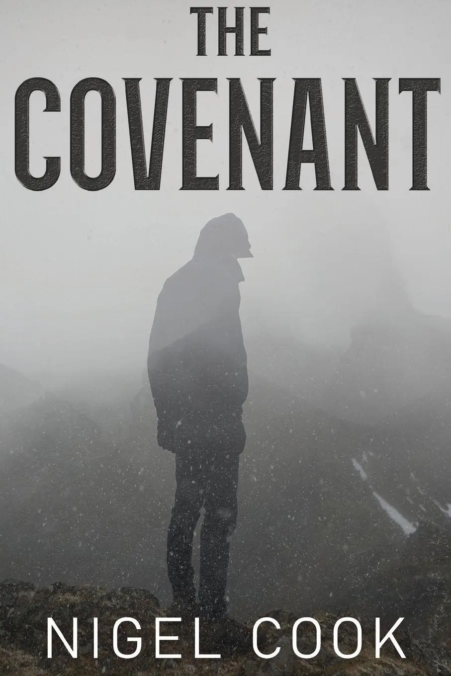 Cover: 9781835433980 | The Covenant | Nigel Cook | Taschenbuch | Englisch | 2025