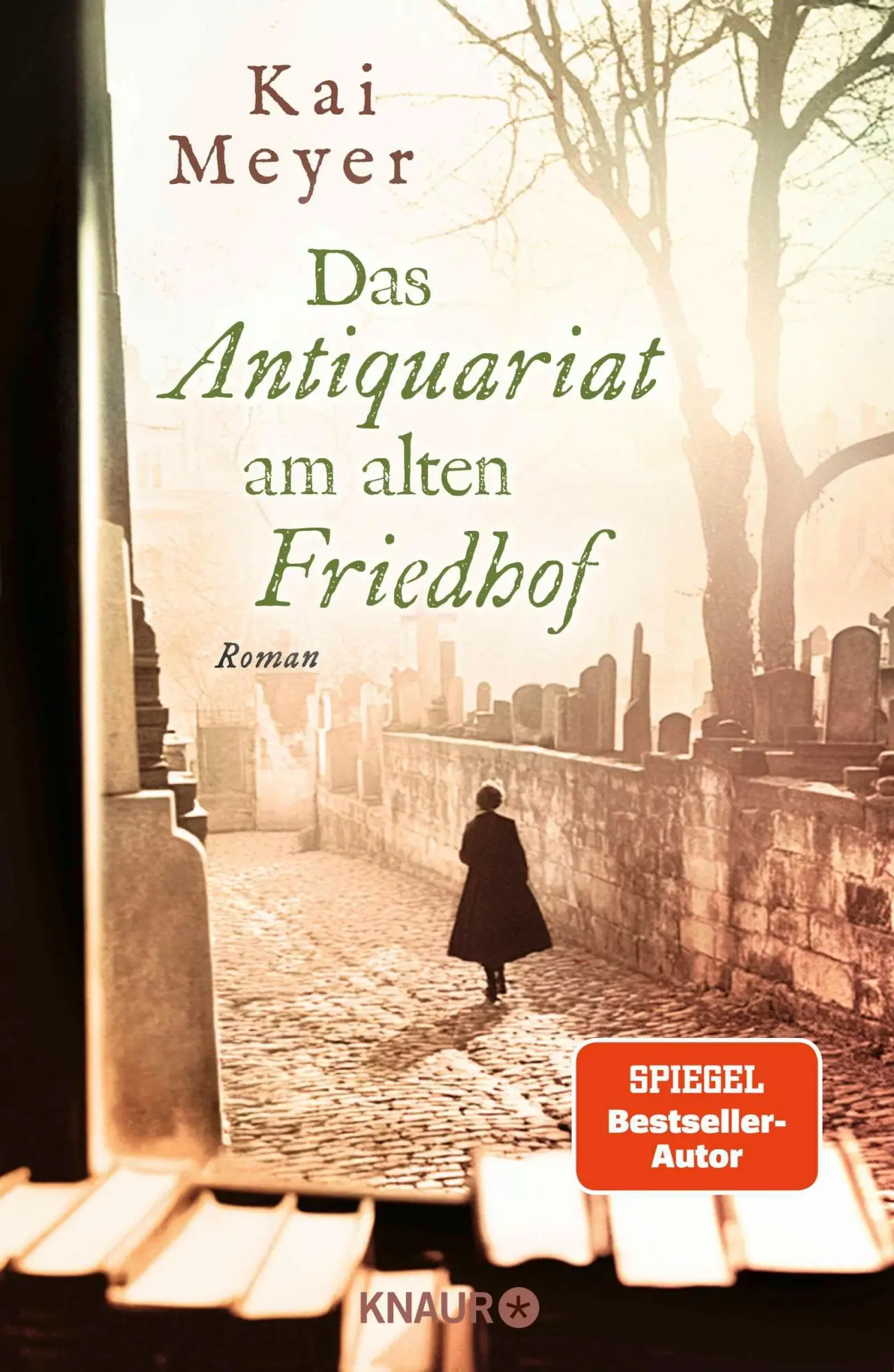 Cover: 9783426293980 | Das Antiquariat am alten Friedhof | Roman | Kai Meyer | Buch | 512 S.