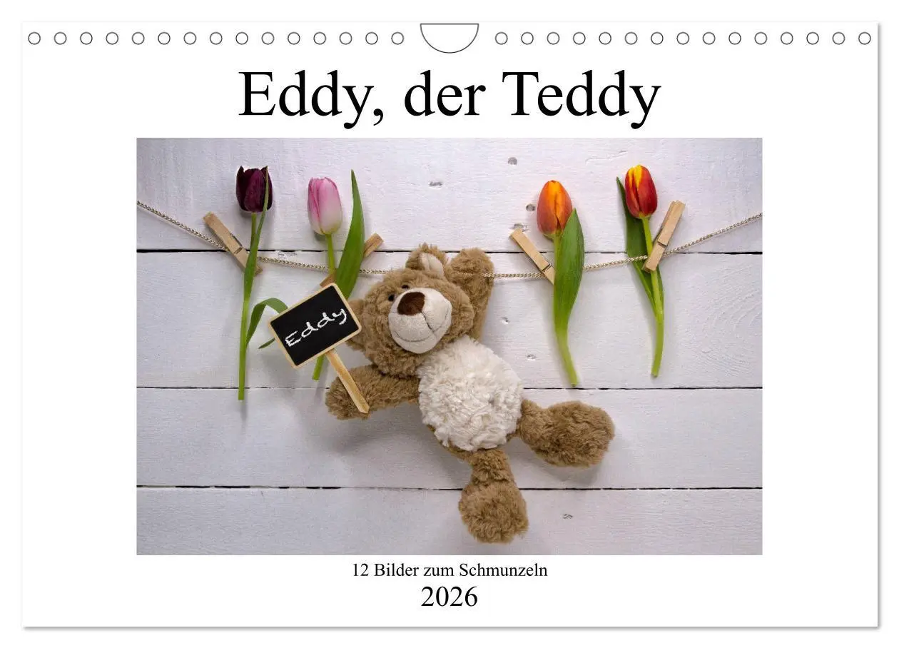 Cover: 9783457813980 | Eddy, der Teddy - 12 Bilder zum Schmunzeln (Wandkalender 2026 DIN...