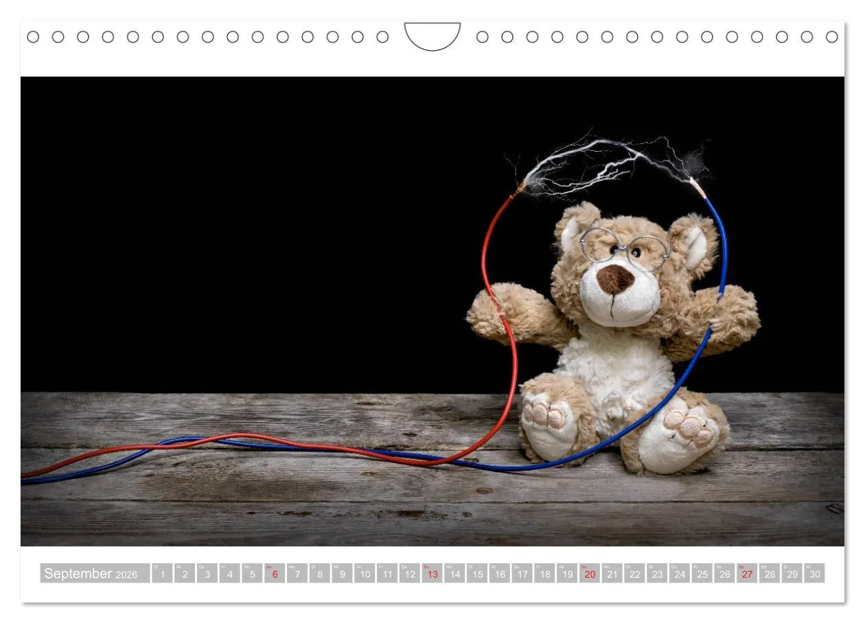 Bild: 9783457813980 | Eddy, der Teddy - 12 Bilder zum Schmunzeln (Wandkalender 2026 DIN...