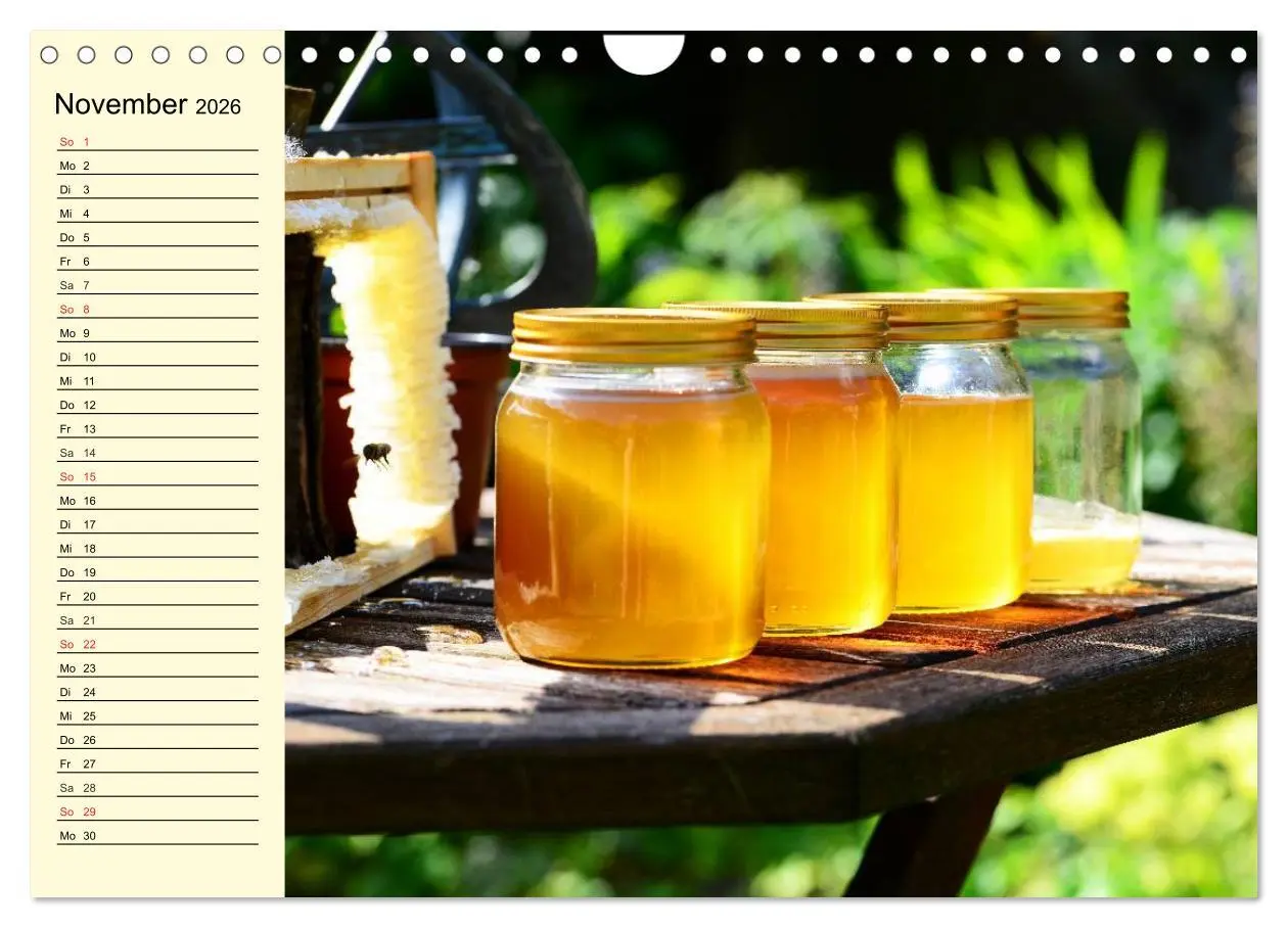 Bild: 9783457983980 | Fleißige Bienen. Von der Blüte bis zum Honig (Wandkalender 2026 DIN...