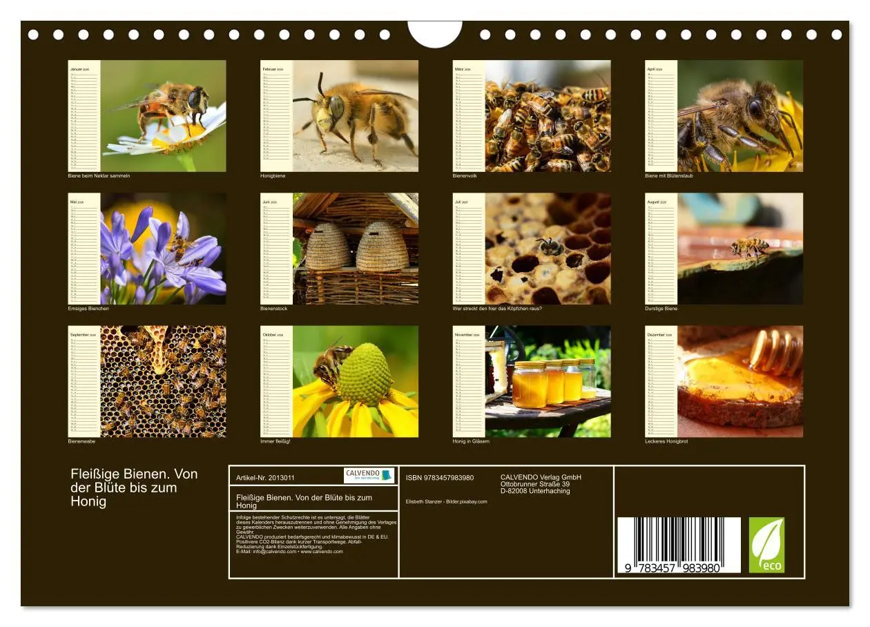 Bild: 9783457983980 | Fleißige Bienen. Von der Blüte bis zum Honig (Wandkalender 2026 DIN...