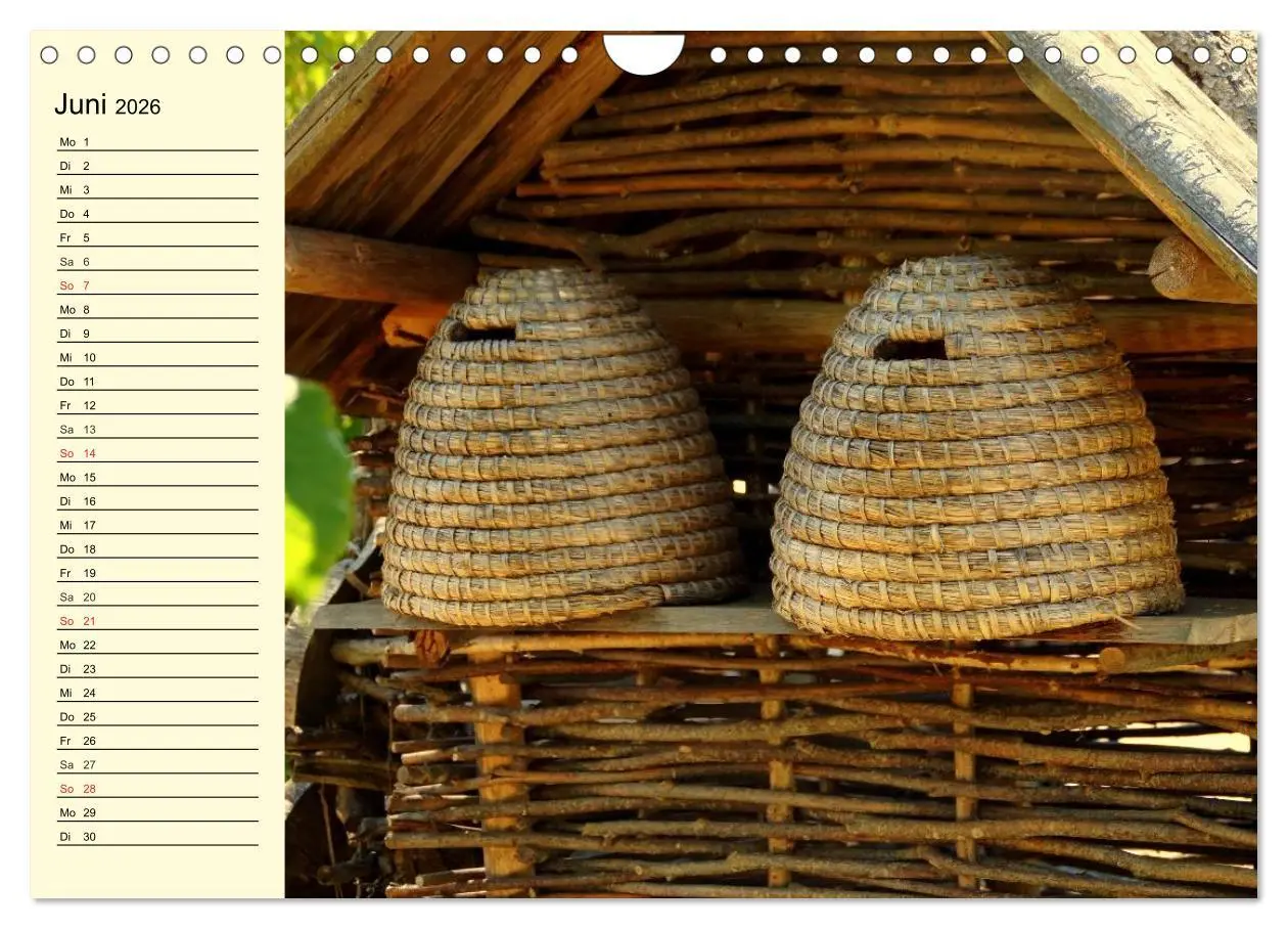 Bild: 9783457983980 | Fleißige Bienen. Von der Blüte bis zum Honig (Wandkalender 2026 DIN...