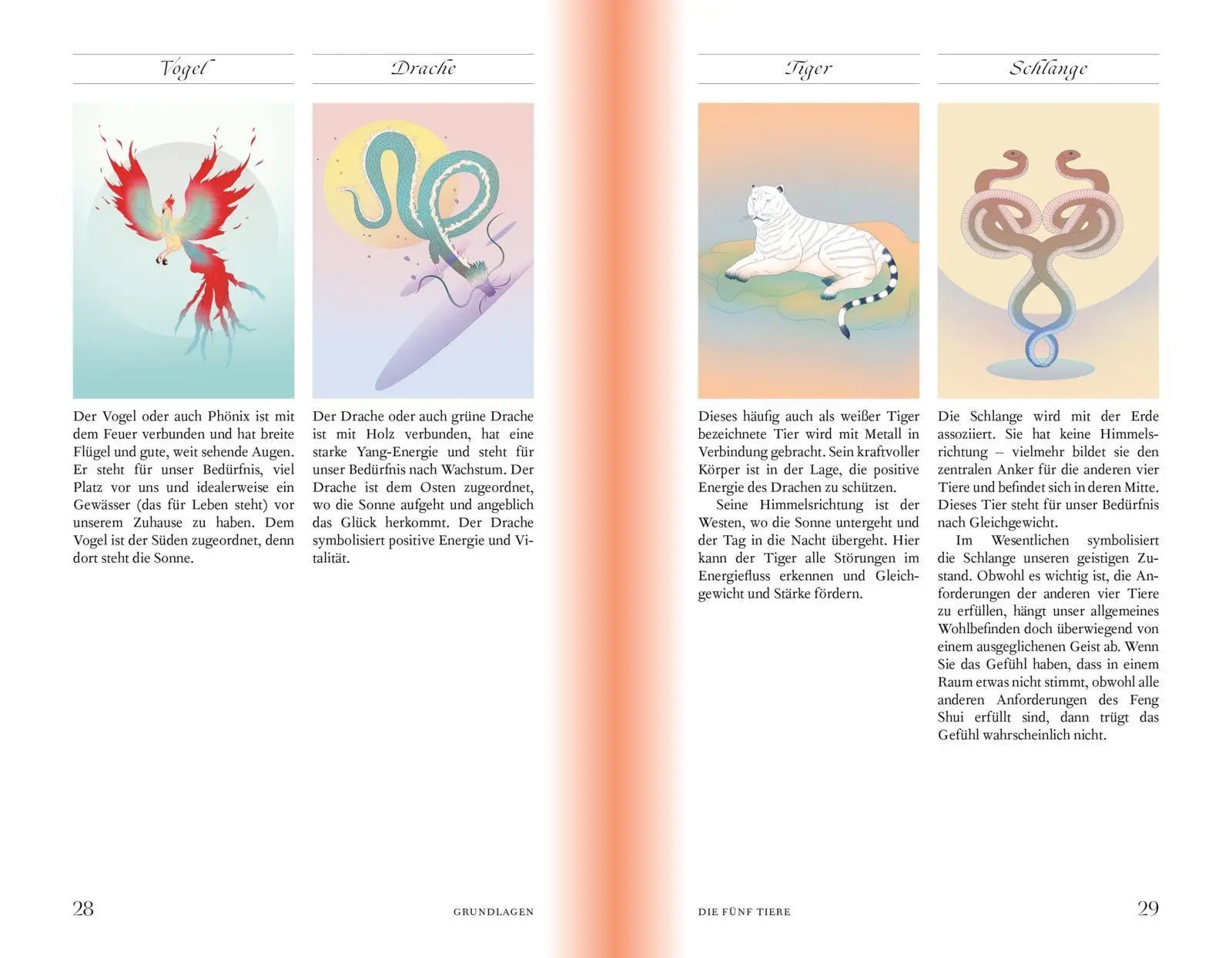 Bild: 9783969053980 | Feng Shui modern | Cliff Tan | Buch | 192 S. | Deutsch | 2025