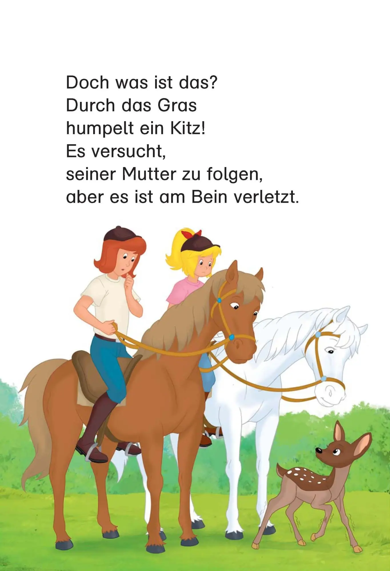 Bild: 9783129494080 | Bibi &amp; Tina - Pferde satteln, fertig, los! | Rainer Wolke | Buch