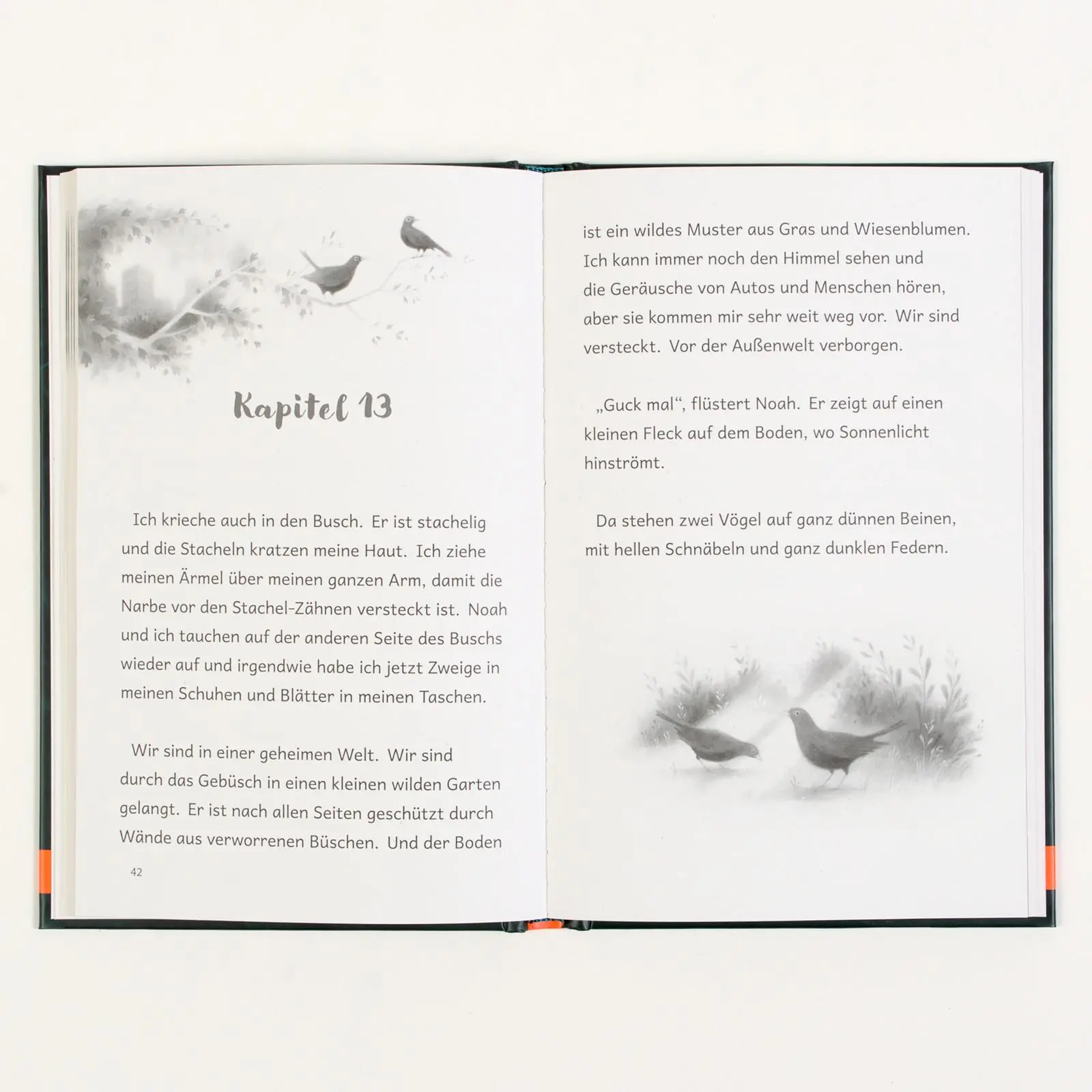Bild: 9783407824080 | Der Gesang des Vogels | Katya Balen | Buch | Super lesbar | 112 S.