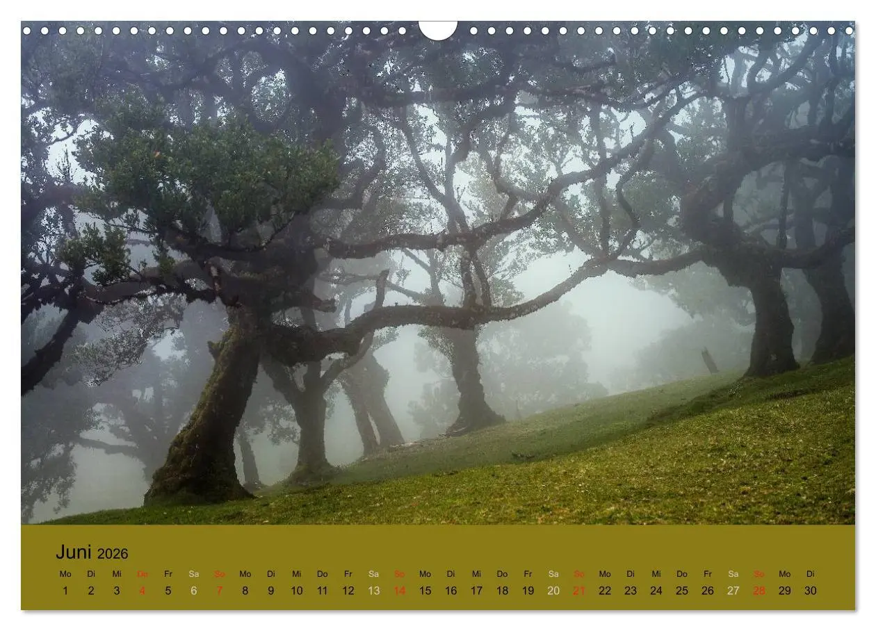 Bild: 9783516104080 | Zauberhaftes Madeira (Wandkalender 2026 DIN A3 quer), CALVENDO...