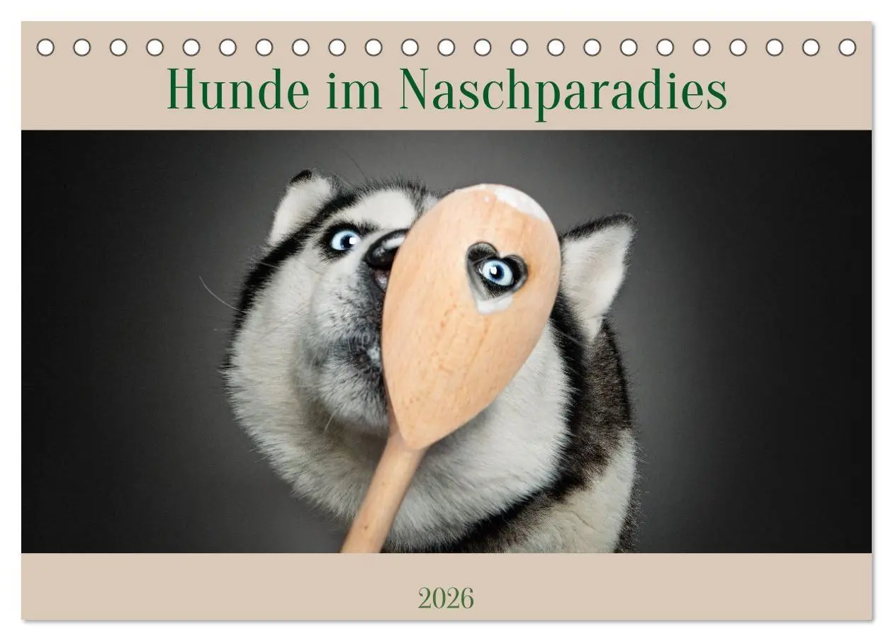 Cover: 9783516724080 | Hunde im Naschparadies (Tischkalender 2026 DIN A5 quer), CALVENDO...