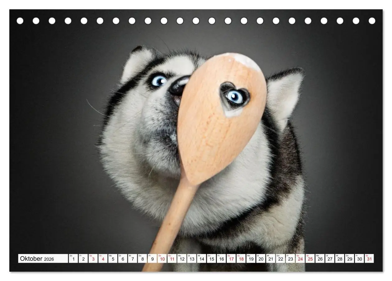 Bild: 9783516724080 | Hunde im Naschparadies (Tischkalender 2026 DIN A5 quer), CALVENDO...