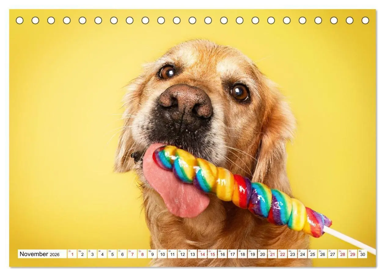 Bild: 9783516724080 | Hunde im Naschparadies (Tischkalender 2026 DIN A5 quer), CALVENDO...