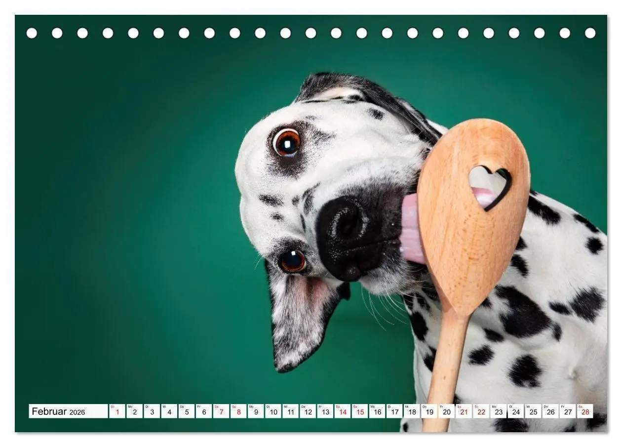 Bild: 9783516724080 | Hunde im Naschparadies (Tischkalender 2026 DIN A5 quer), CALVENDO...
