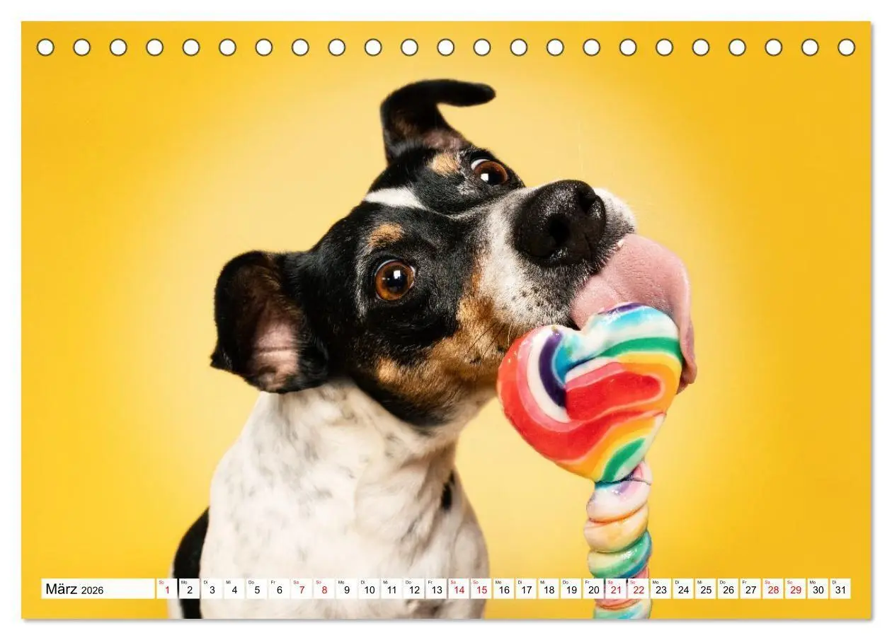 Bild: 9783516724080 | Hunde im Naschparadies (Tischkalender 2026 DIN A5 quer), CALVENDO...