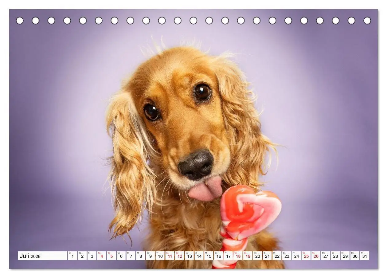 Bild: 9783516724080 | Hunde im Naschparadies (Tischkalender 2026 DIN A5 quer), CALVENDO...