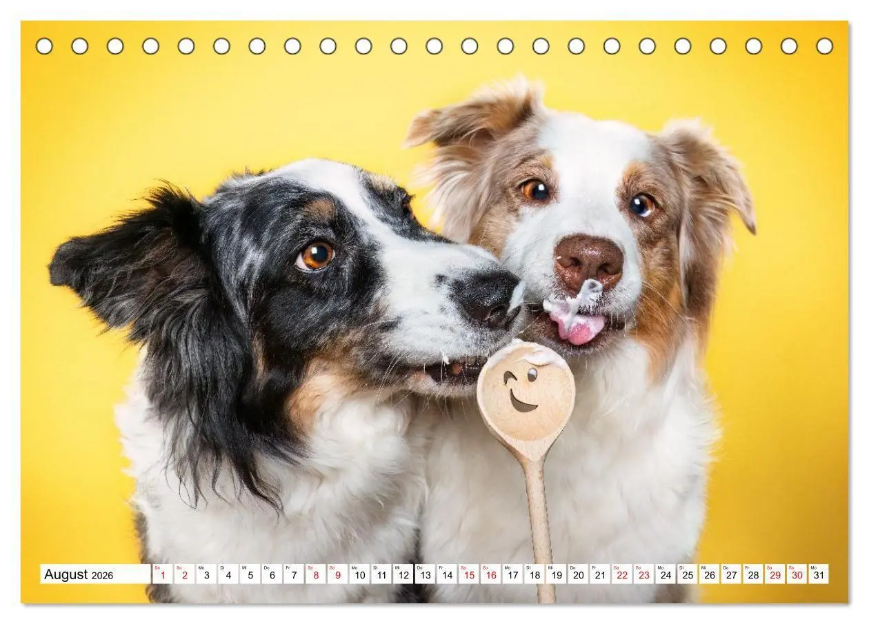 Bild: 9783516724080 | Hunde im Naschparadies (Tischkalender 2026 DIN A5 quer), CALVENDO...